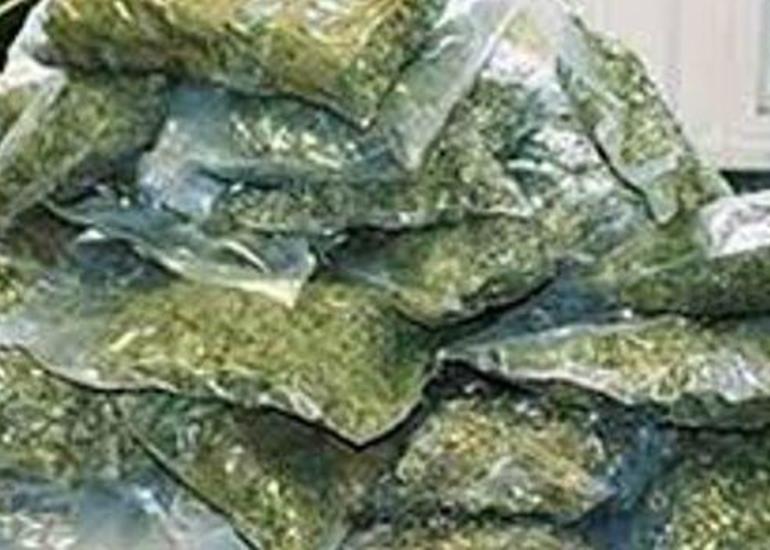 Balakəndə külli miqdarda narkotik vasitə aşkarlanıb