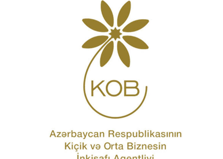 Beynəlxalq Əlillər Gününə həsr olunmuş satış sərgisi keçiriləcək