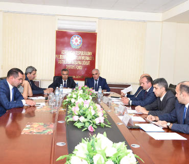 category photo