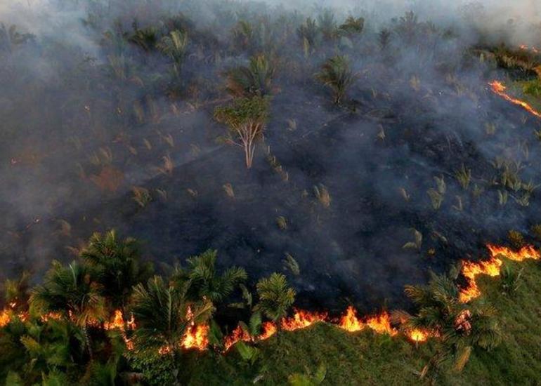 G7 Amazondakı yanğınların söndürülməsinə 20 milyon avro ayıracaq