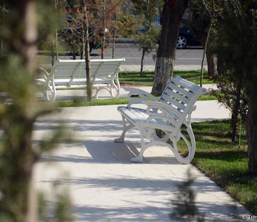 category photo