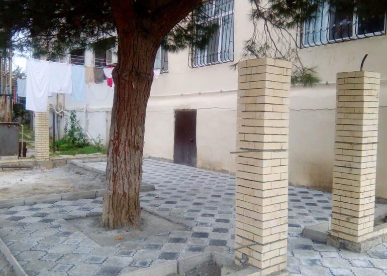 Bakıda insanlığa sığmayan hərəkət - Ağacın dibini betonladılar