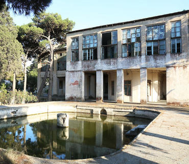 category photo