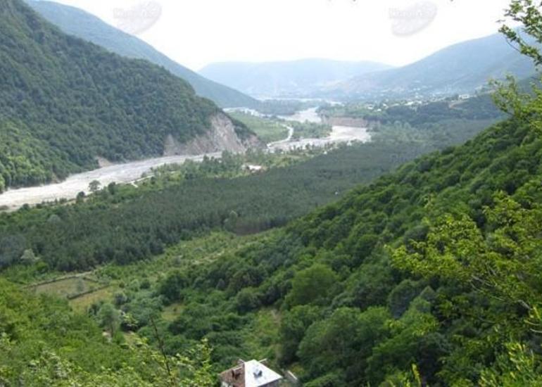 Bəzi qoruqlarda yeni idarəetmə modeli yaradılacaq