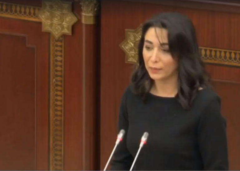 Yeni seçilən Ombudsman: Pozulmuş insan hüquq və azadlıqlarının bərpası bu işin mühüm tərkib hissələrindəndir