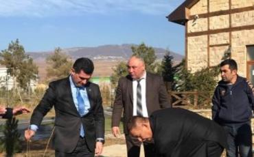 Şamaxı şəhərində min ağacdan ibarət "Sakura parkı" salınıb