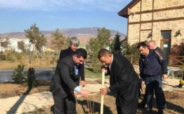 Şamaxı şəhərində min ağacdan ibarət "Sakura parkı" salınıb