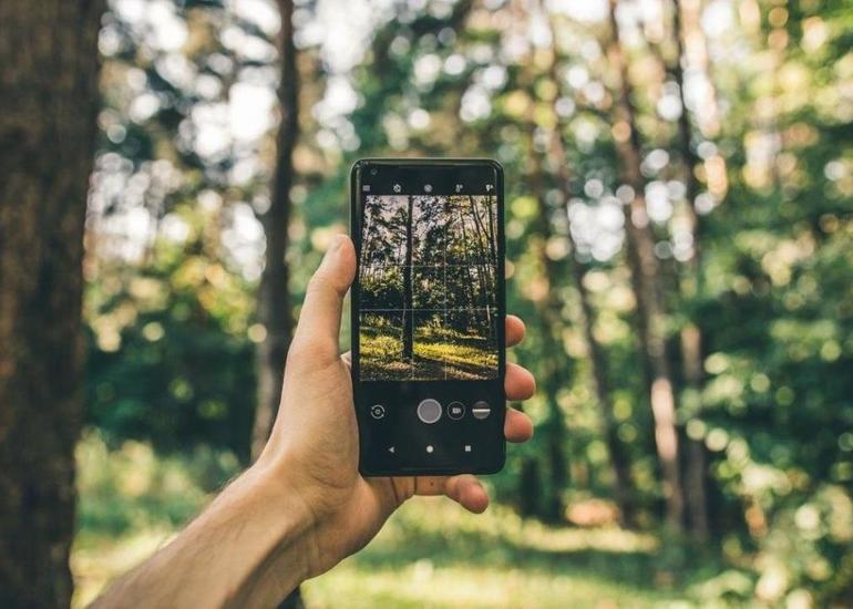 Azərbaycanda meşələrdəki vəziyyəti telefonla izləmək mümkün olacaq