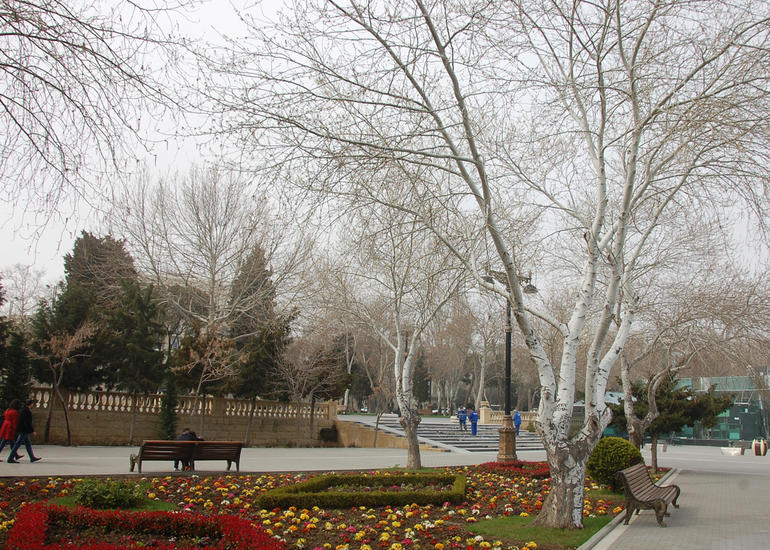 Sabahın hava proqnozu açıqlandı