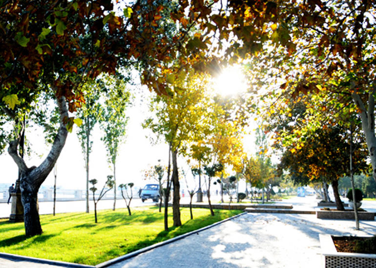 Sabah Bakıda 15 dərəcə isti olacaq