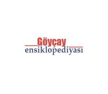 category photo