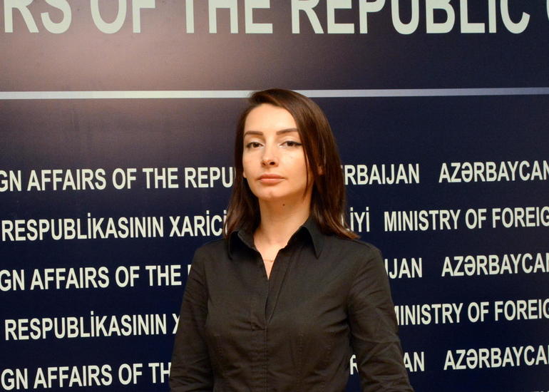 Leyla Abdullayeva: Ermənistanın xarici işlər naziri utanmadan təhlükəsizlik problemlərindən, müqəddəratı azad şəkildə ifadə etməkdən danışır