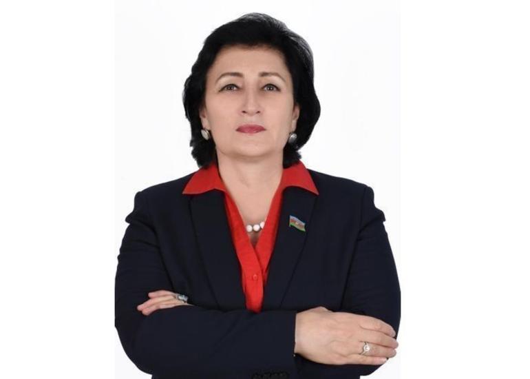 Millət vəkili: “Avropa Şurası Azərbaycana qarşı ikili standartlardan çıxış edir, riyakar mövqe ortaya qoyur”