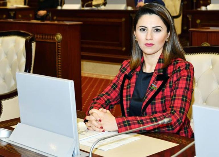 Ermənistanda hakimiyyət dəyişsə də, işğalçı dövlətin faşist və terrorçu mahiyyəti dəyişmir - Sevinc Fətəliyeva