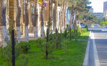 Xətaidə ikinci və üçüncü dərəcəli yollar da abadlaşdırılır
