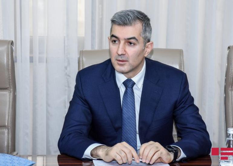 DMX rəisi: Almaniyadan deportasiya qərarı verilən şəxslərin geri qaytarılması davam edəcək