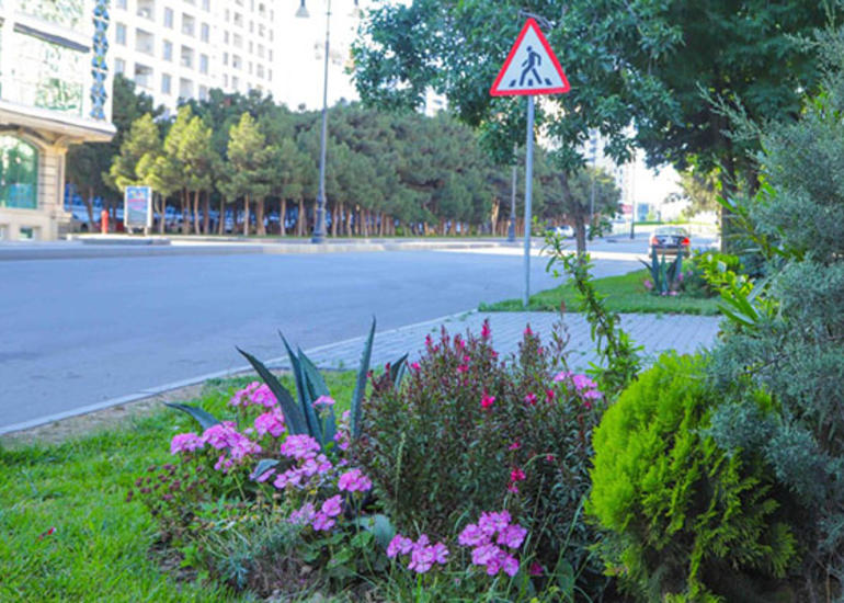 Xətaidə ikinci və üçüncü dərəcəli yollar da abadlaşdırılır