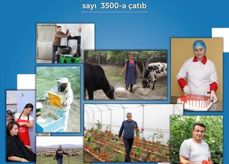 Bu il özünüməşğulluq proqramına cəlb edilənlərin sayı 3500-ə çatıb