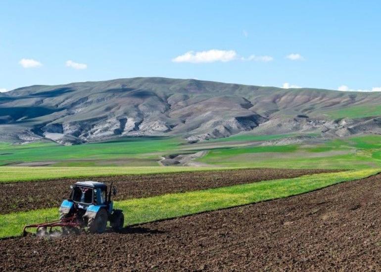 Fermerlərdən yazlıq əkin bəyanlarının qəbulu sona çatıb