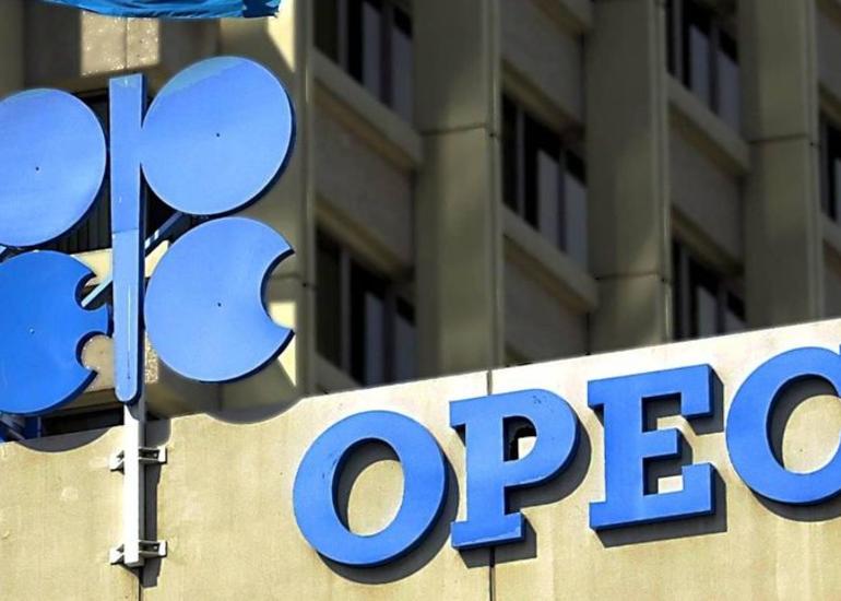 OPEC: Neft bazarı ilin ikinci yarısında sabitləşəcək