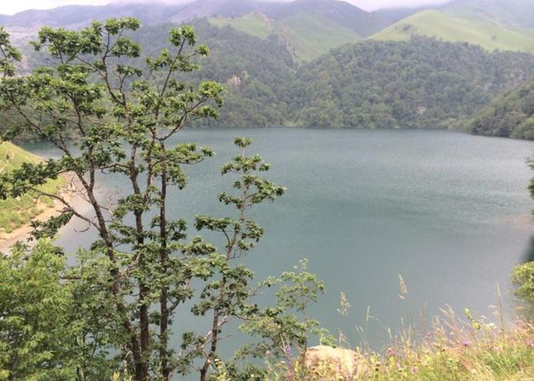 Sabahdan milli parklar açılır