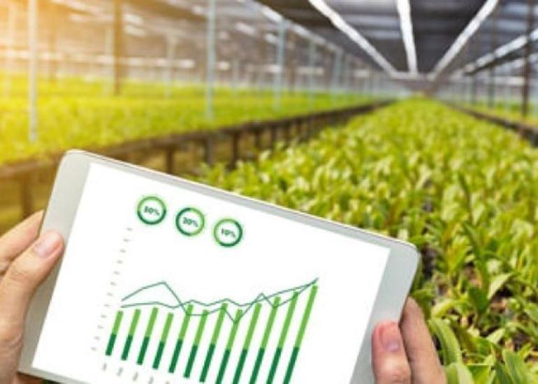 Azərbaycanın aqrar sektorunun gəlirləri son 7 ildə iki dəfədən çox artıb