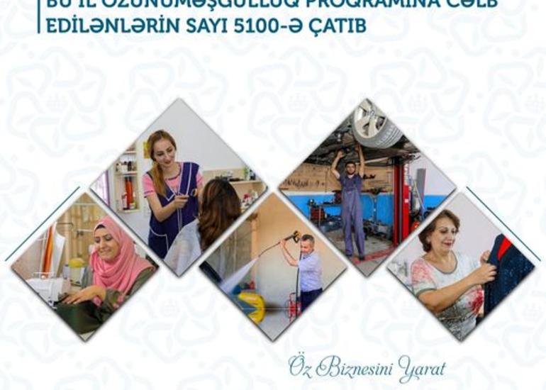Bu il 12 min şəxs özünüməşğulluq proqramına cəlb ediləcək