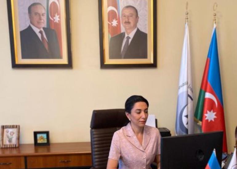 Ombudsman Avropa Şurasının rəsmiləri ilə onlayn görüş keçirib