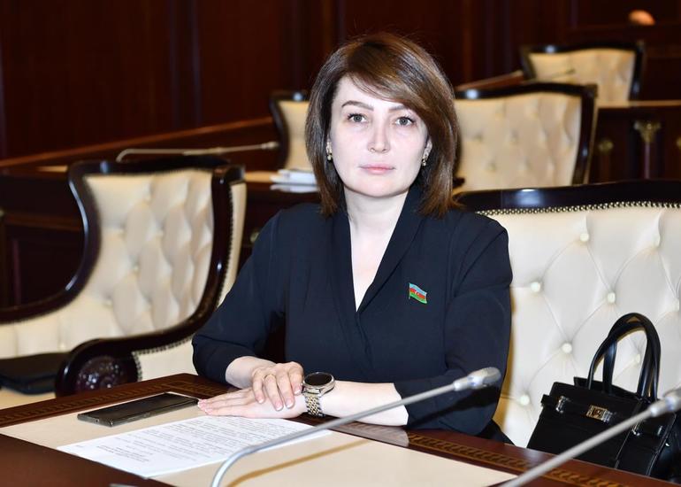 “Dövlət Dəniz və Liman Agentliyinin yaradılması ölkə iqtisadiyyatı üçün xüsusi əhəmiyyət daşıyır”