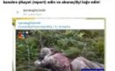 Diqqət! Düşmən tərəfindən yayılan saxta xəbərlərə İNANMAYIN!