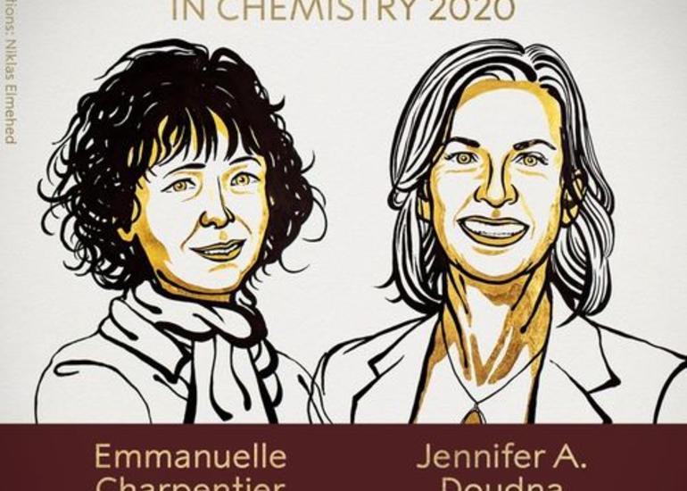Kimya üzrə Nobel mükafatının qalibləri açıqlanıb