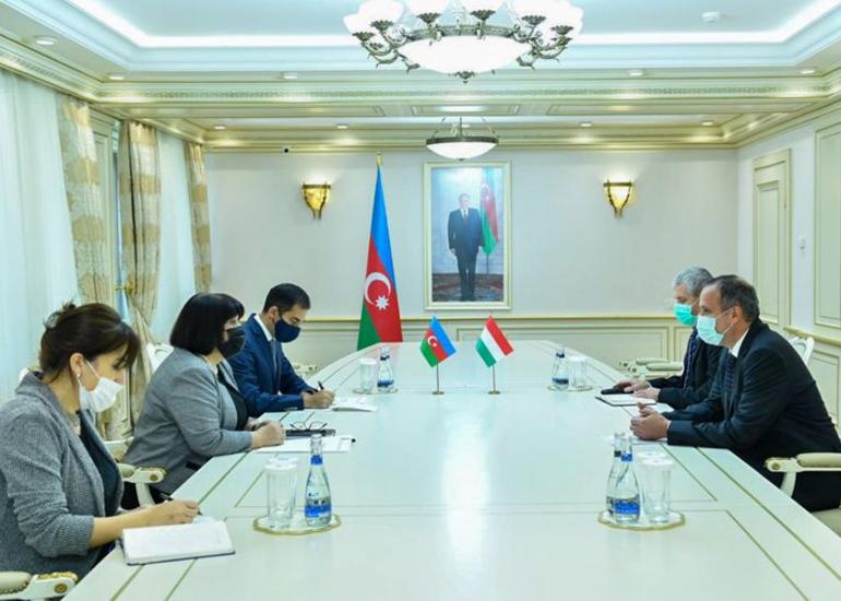 Sahibə Qafarova Macarıstan səfiri ilə görüşüb