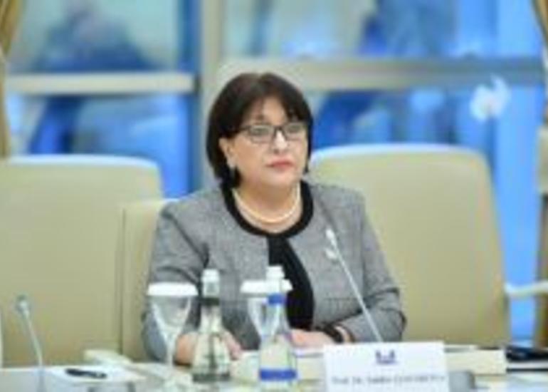 Qafarova Ermənistanın ekoloji terrorundan danışdı