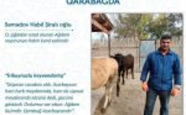 Ağdamda özünüməşğulluq