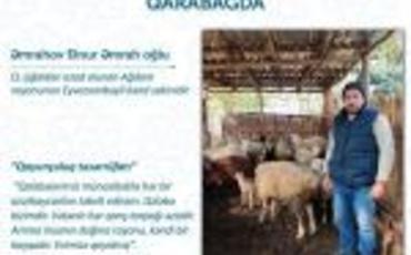 Ağdamda özünüməşğulluq