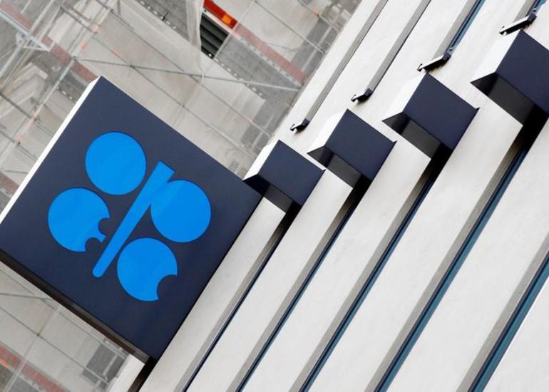 OPEC neft qiymətlərinin 48 dollardan yuxarı olacağını gözləyir