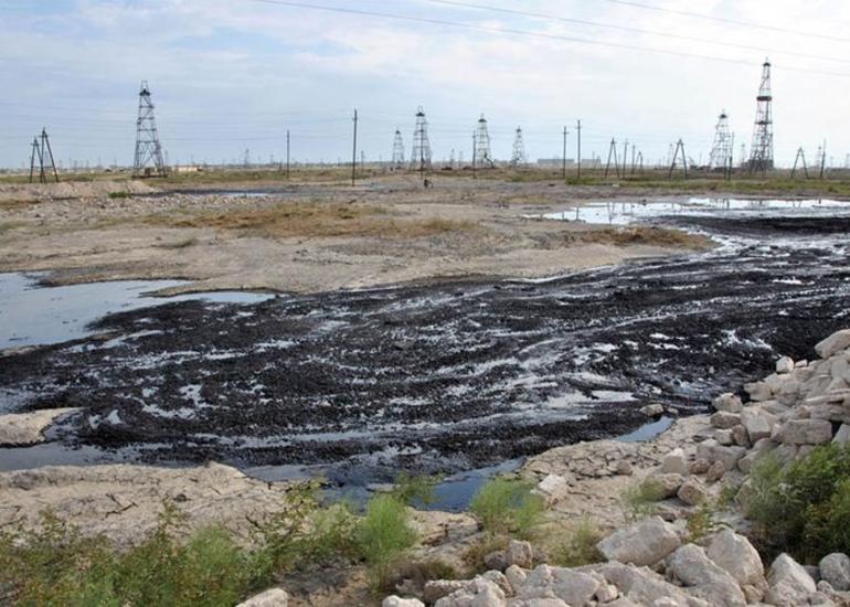 Abşeron yarımadasında neftlə çirklənmiş torpaqların sahəsi 25 min ha-dan çoxdur