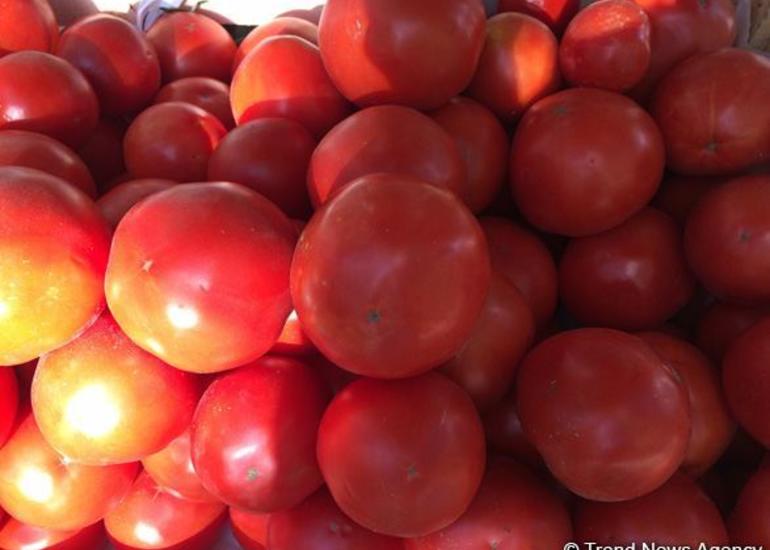 Rusiya Ermənistandan pomidor idxalını dayandırır