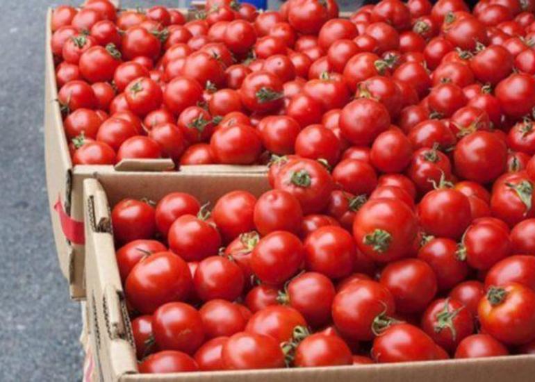 Rusiya Azərbaycanın daha bir neçə müəssisəsindən pomidor idxalına icazə verə bilər