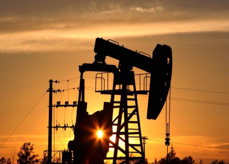 OPEC ölkələri 2022-ci ildə sutkada 28 mln. bareldən çox neft hasil edəcək - PROQNOZ
