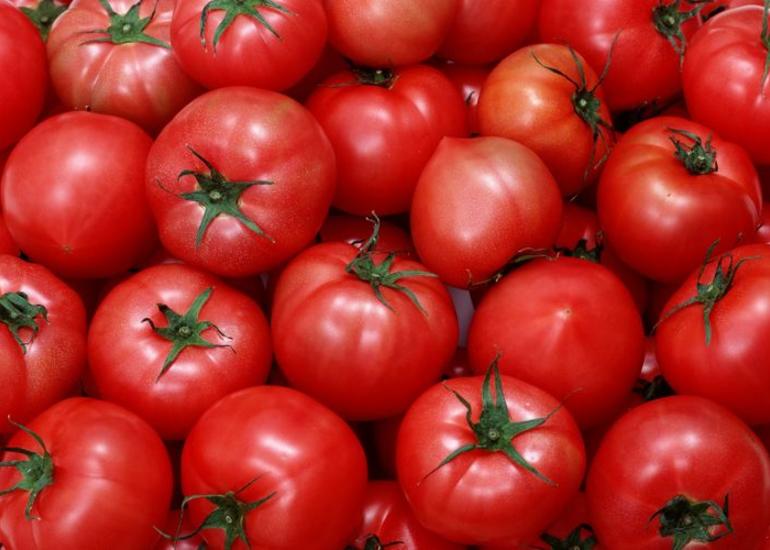 Rusiya Azərbaycanın 13 şirkətinə pomidor və alma ixracına icazə verib
