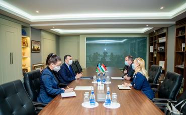 Macar şirkətləri də azad olunmuş ərazilərdə quruculuq proqramına qoşulmağa hazırlaşır