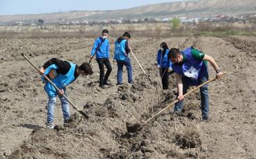 "Yaşıl Marafon” çərçivəsində Şirvanda 2500 ağac əkilib