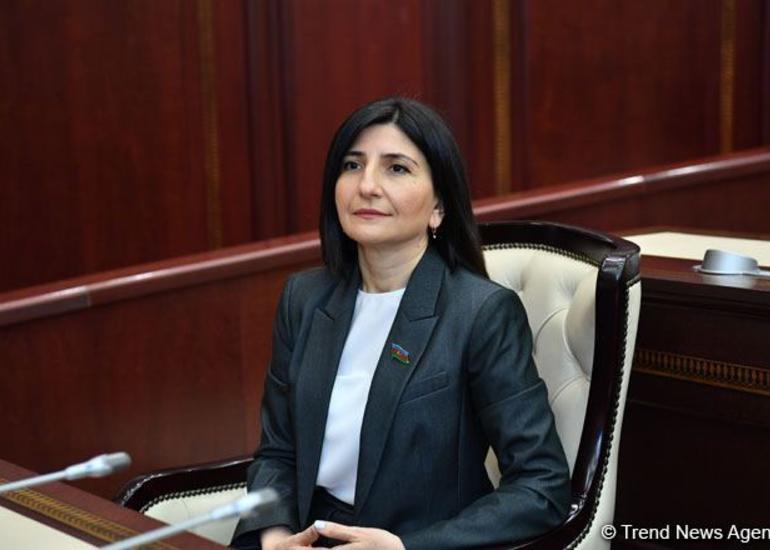 Minalanmış ərazilərin xəritəsini verməməklə humanitar böhran yaratdığı üçün Ermənistana təzyiq göstərilməlidir - Sevil Mikayılova