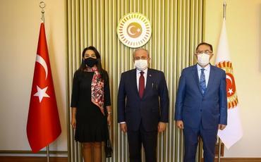 Səbinə Əliyeva TBMM sədri Mustafa Şəntopla görüşüb