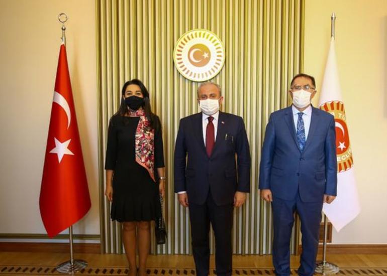 Səbinə Əliyeva TBMM sədri Mustafa Şəntopla görüşüb