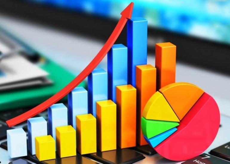 Naxçıvanın ÜDM-i 0,6% artıb