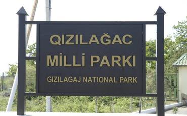 Leyla Əliyeva Qızılağac Milli Parkına səfər edib