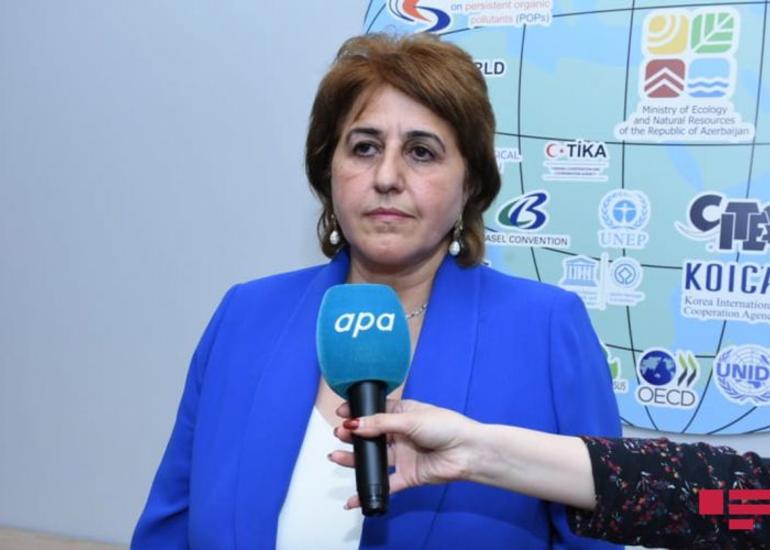 AMEA: Şuşada "Qırmızı Kitab"a düşəcək bir neçə bitki növü var