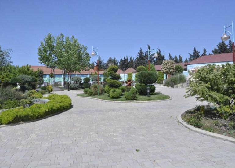 Buzovna qəsəbəsində yenidənqurma işləri aparılacaq